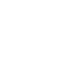 Instagram logo button image